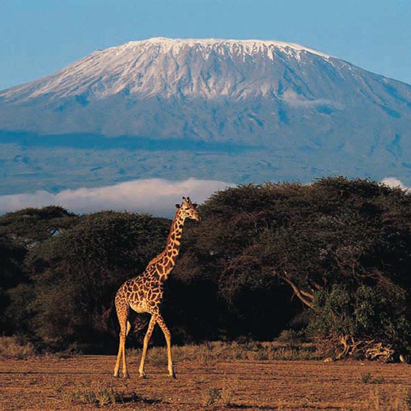 Mount Kilimanjaro - Tanzania 