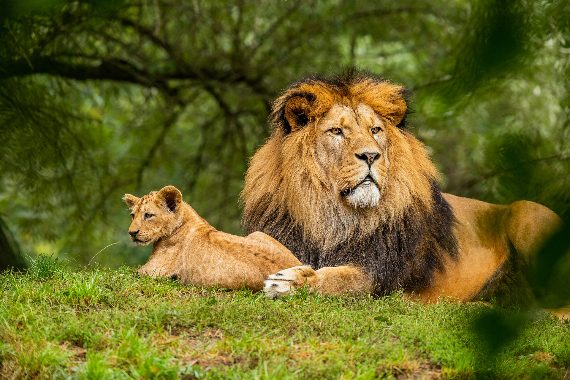 Your Adventure Travel Experts in the World