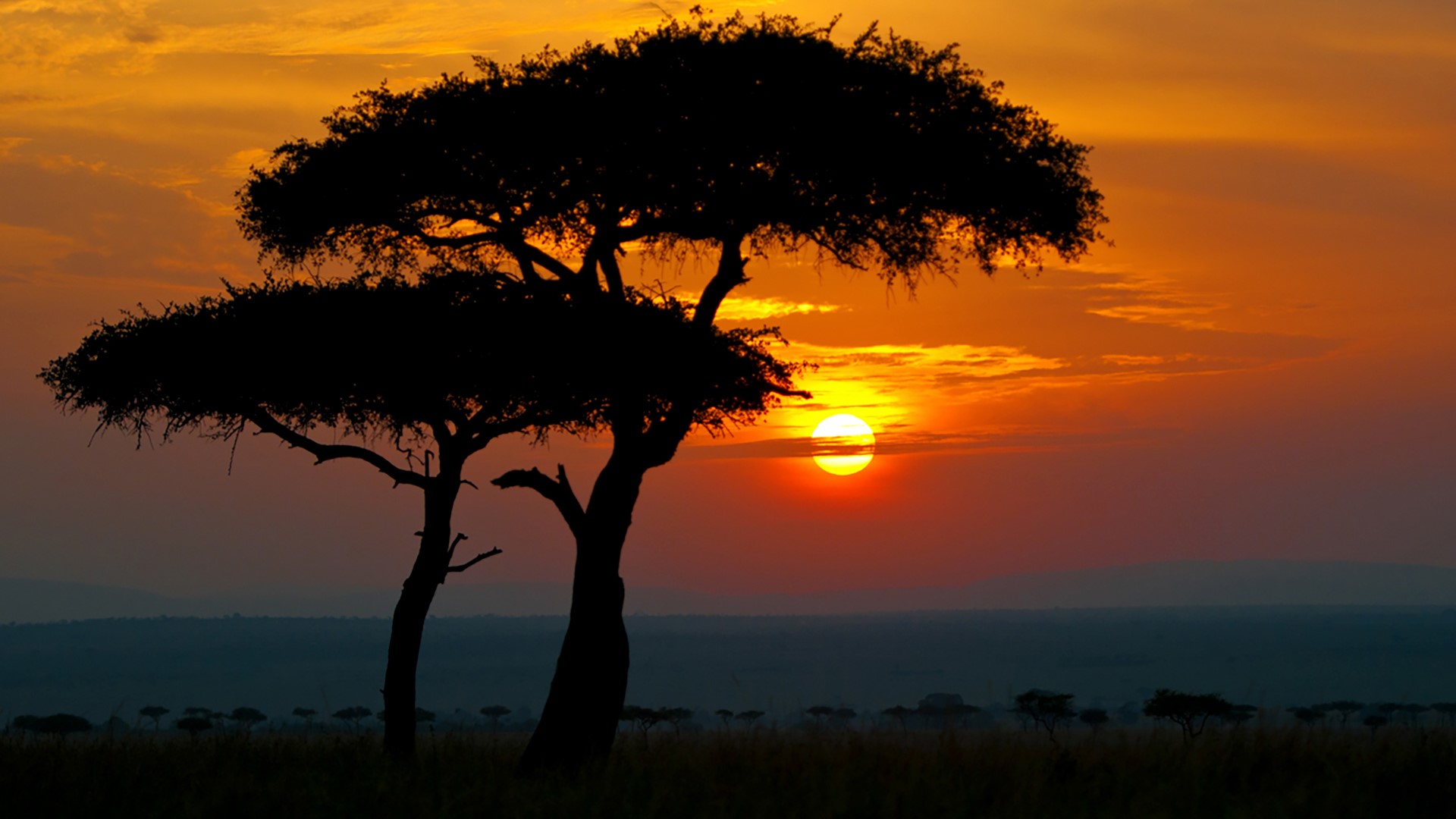 ENJOY KENYA - Nairobi - Lake Nakuru - Maasai Mara - Nairobi 1