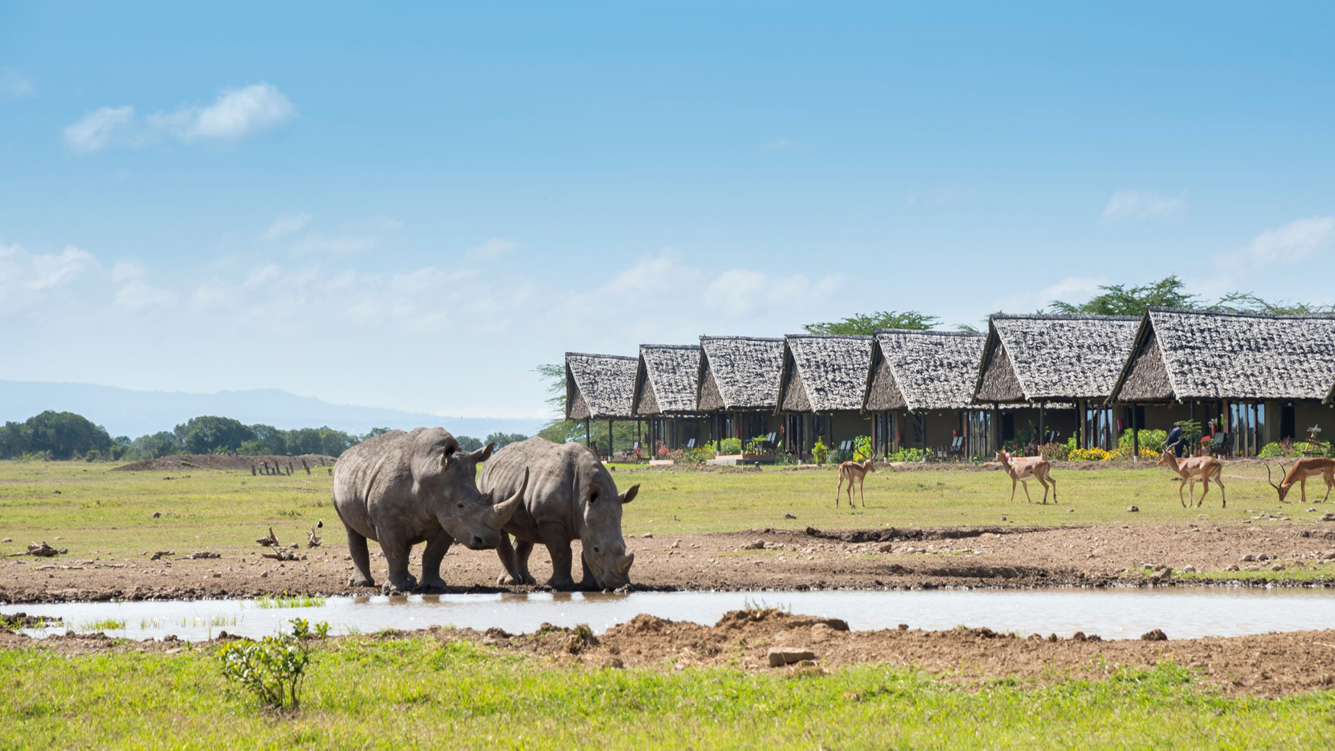 Nairobi - Samburu - Mt Kenya - Nakuru - Maasai Mara